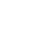 Cyber Security icon